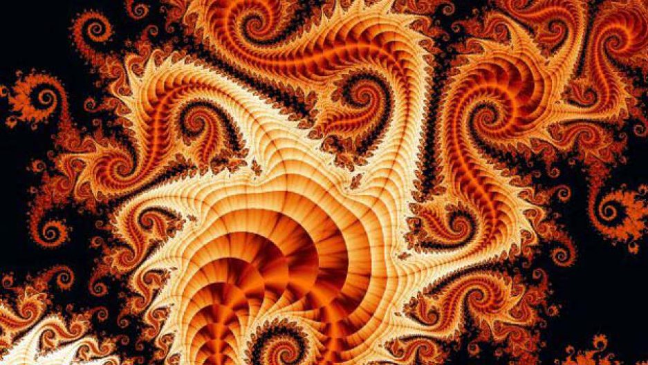Image result for orange and black fractal